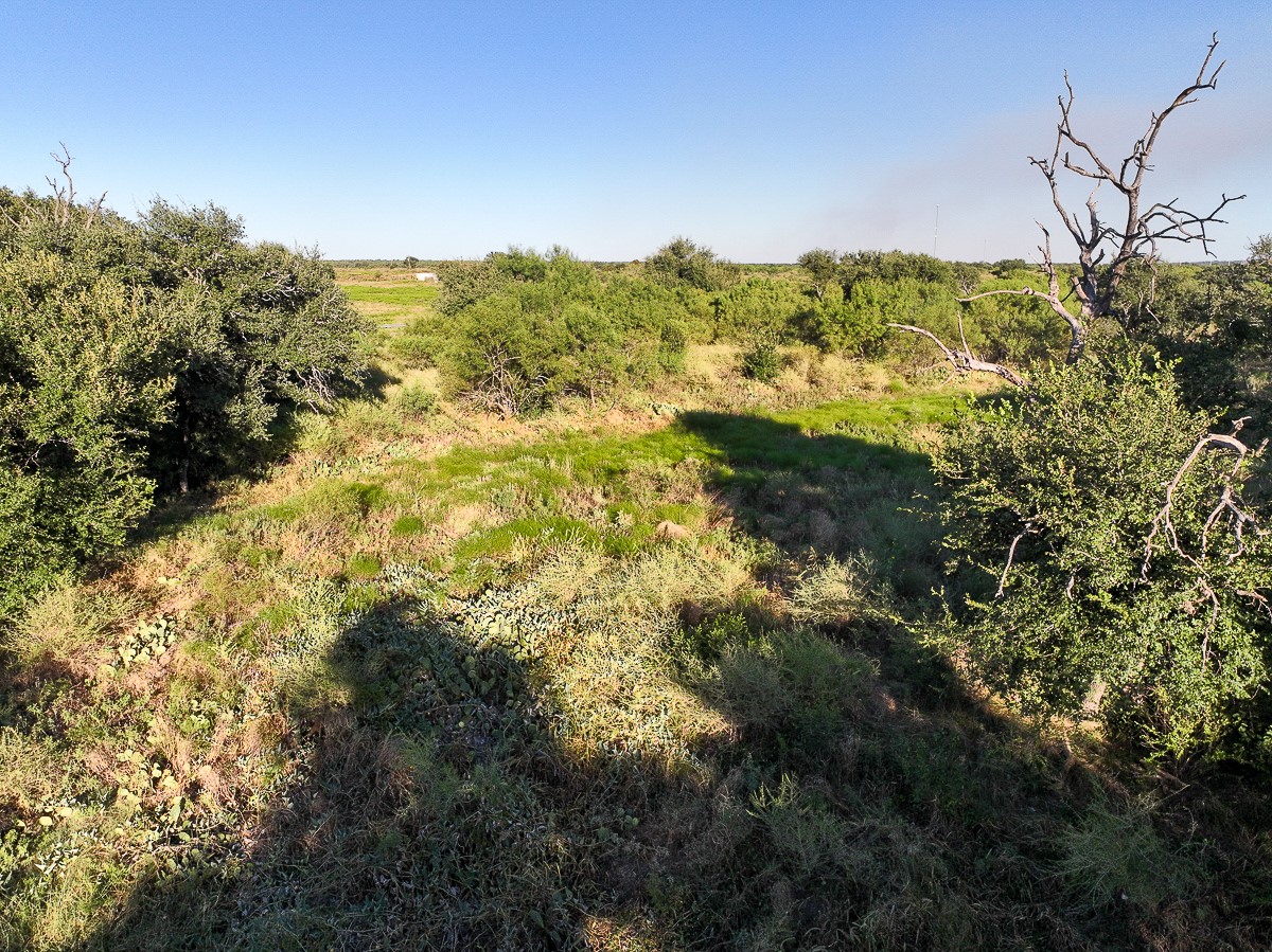 T-3 State Highway 29 Property Photo 37