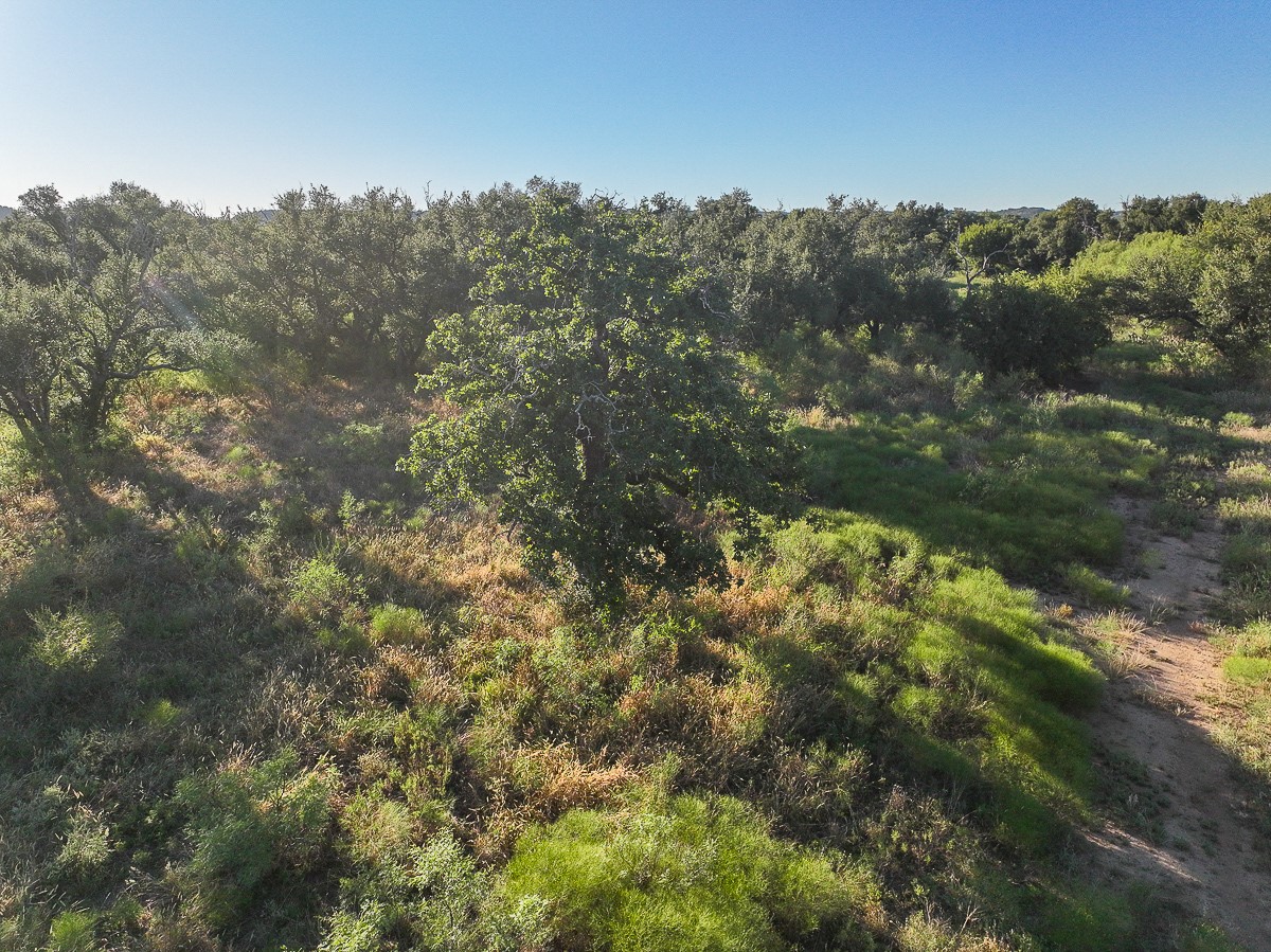 T-3 State Highway 29 Property Photo 40