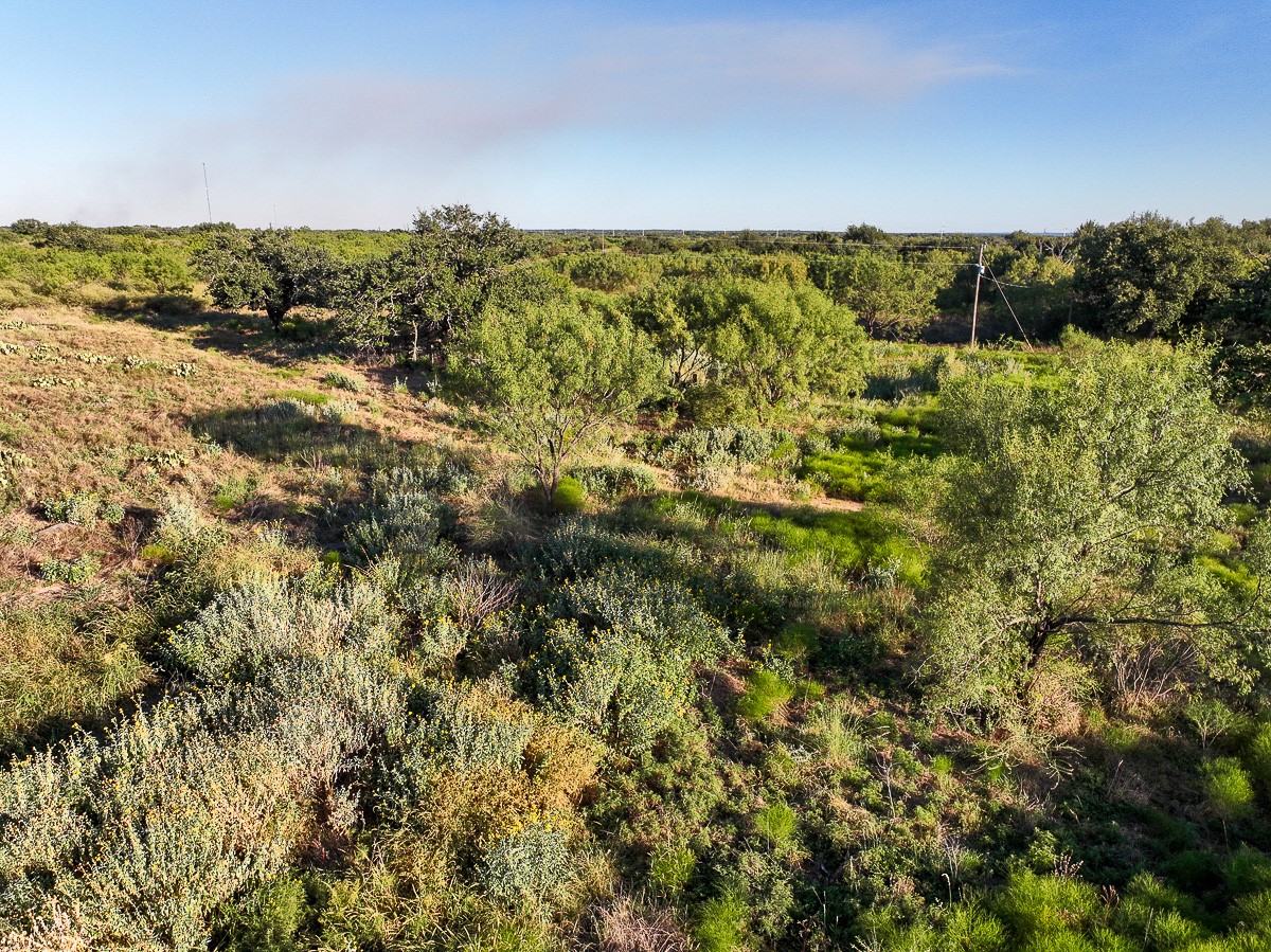 T-3 State Highway 29 Property Photo 41