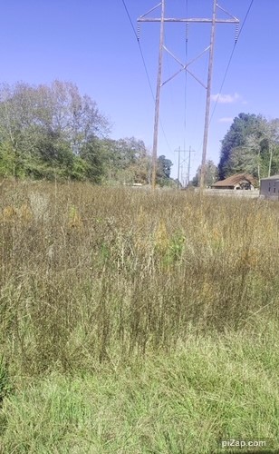 0 Saddle Rock Lane Property Photo 5