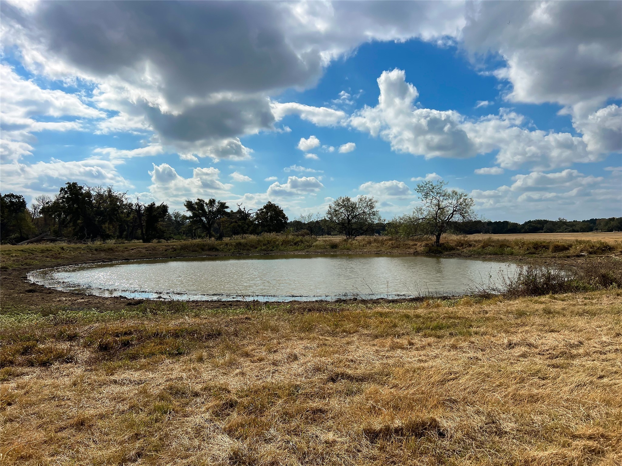 Tbd-a Fm-3371 Property Photo 2