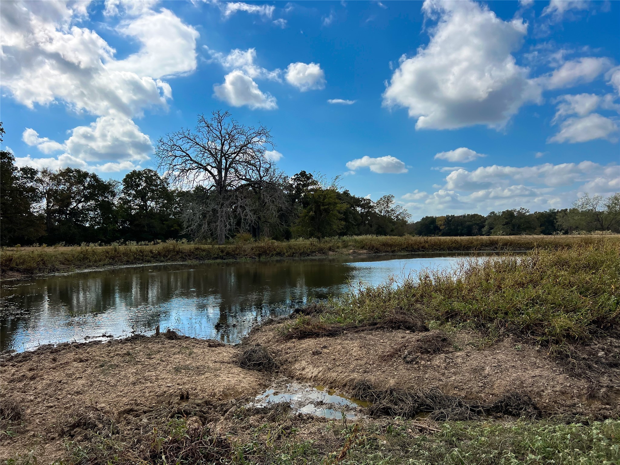 Tbd-a Fm-3371 Property Photo 5