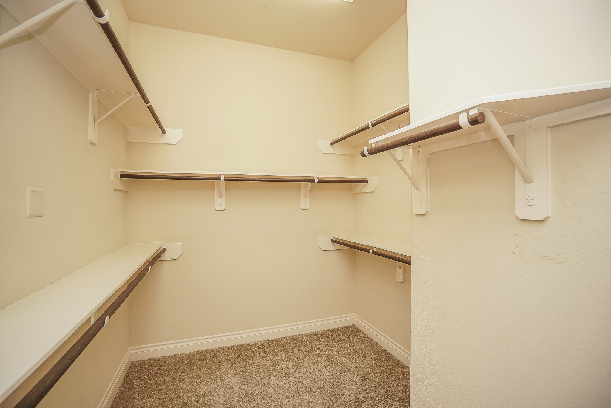 1215 Watercrest Park Lane Property Photo 13