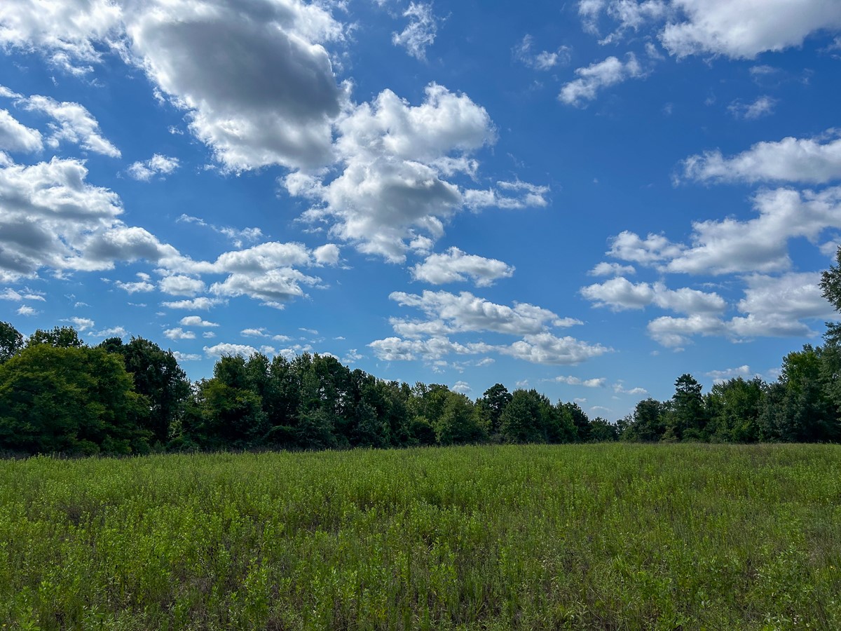 Tbd County Road 1804 Property Photo 1