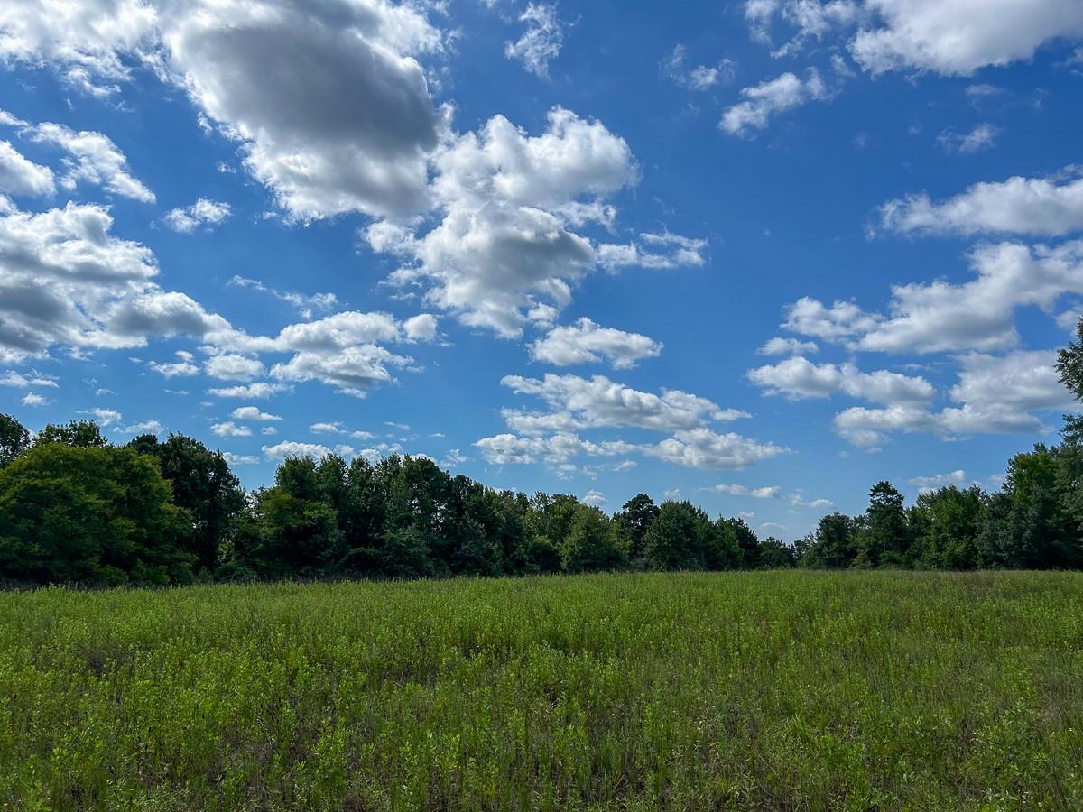 Tbd County Road 1804, Rusk Tx 75785 Property Photo 1