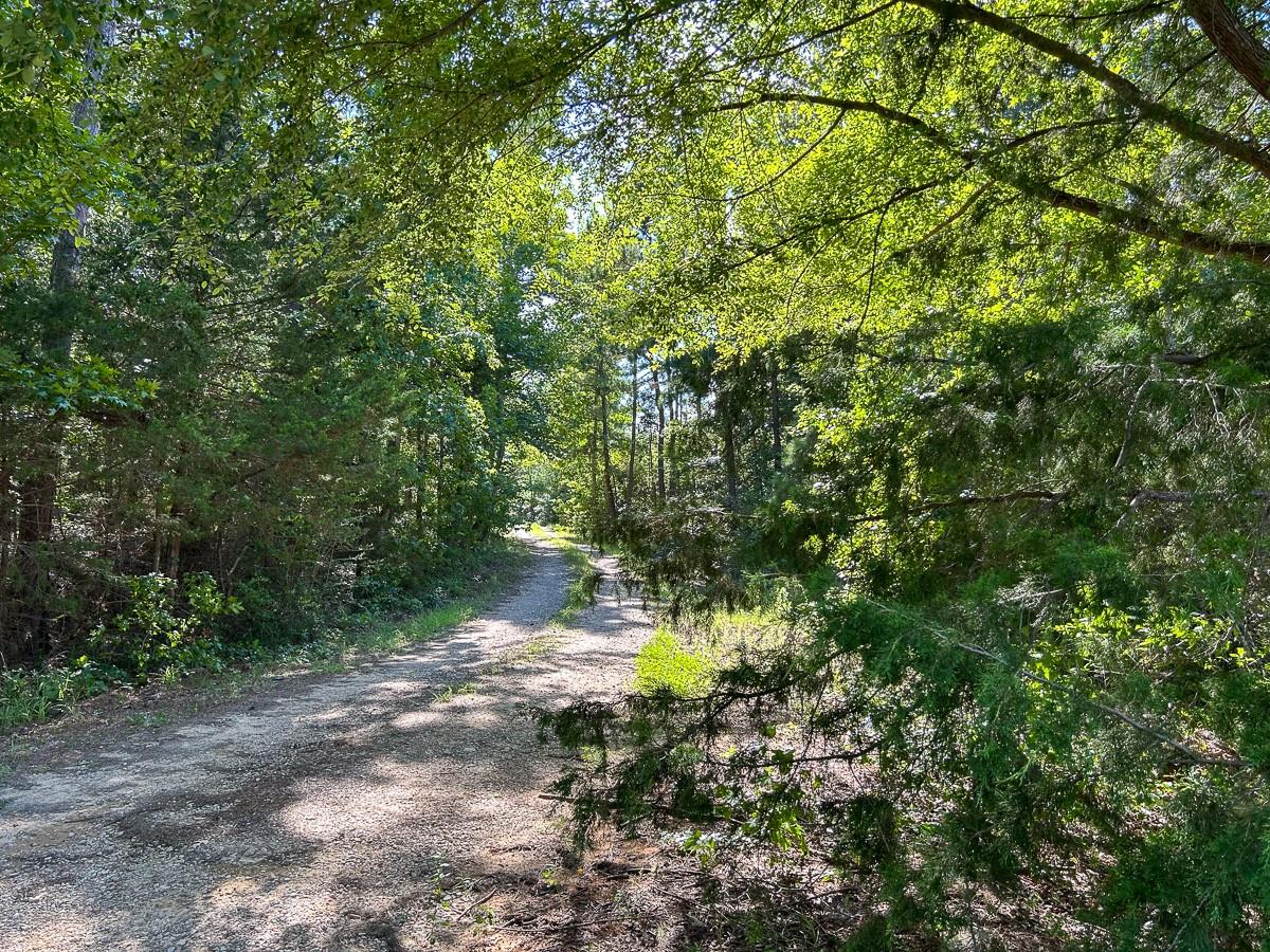 Tbd County Road 1804 Property Photo 5