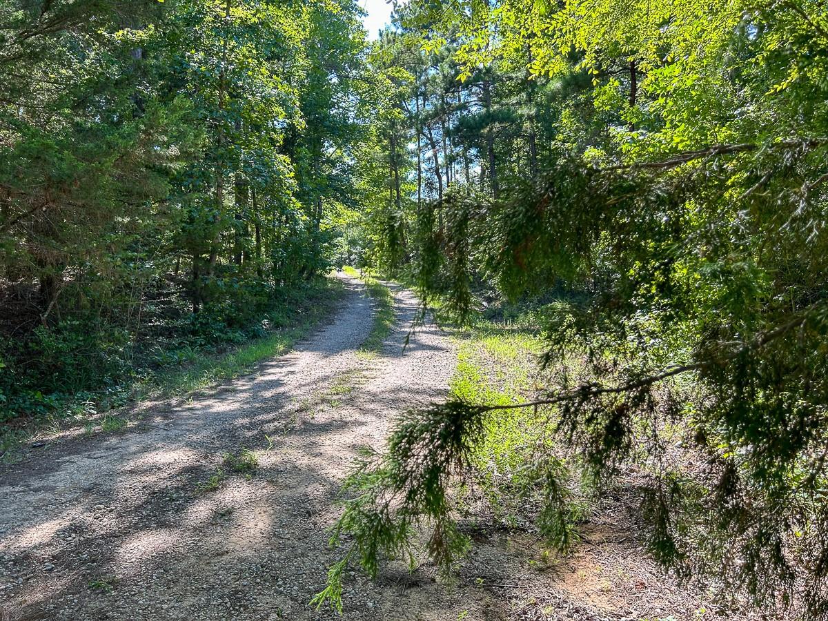 Tbd County Road 1804 Property Photo 6