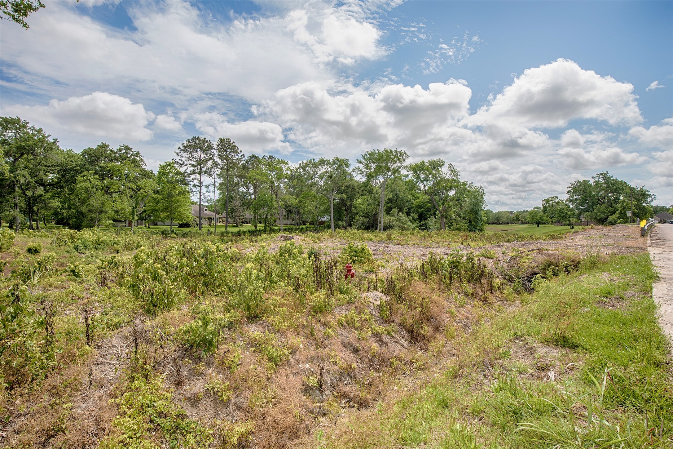 1405 Greenbriar Drive Property Photo 6