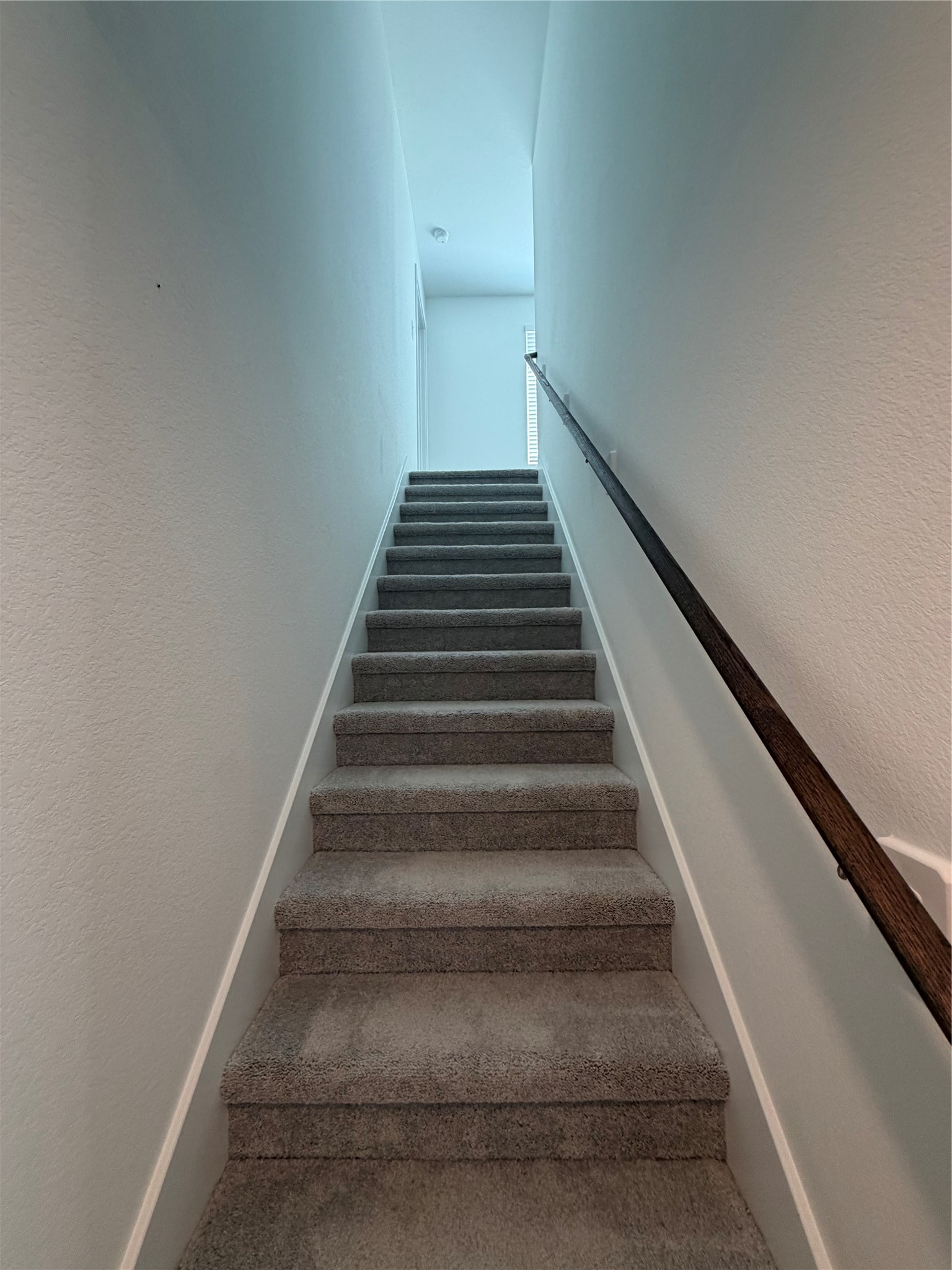 16815 Spotted Oak Drive Property Photo 27