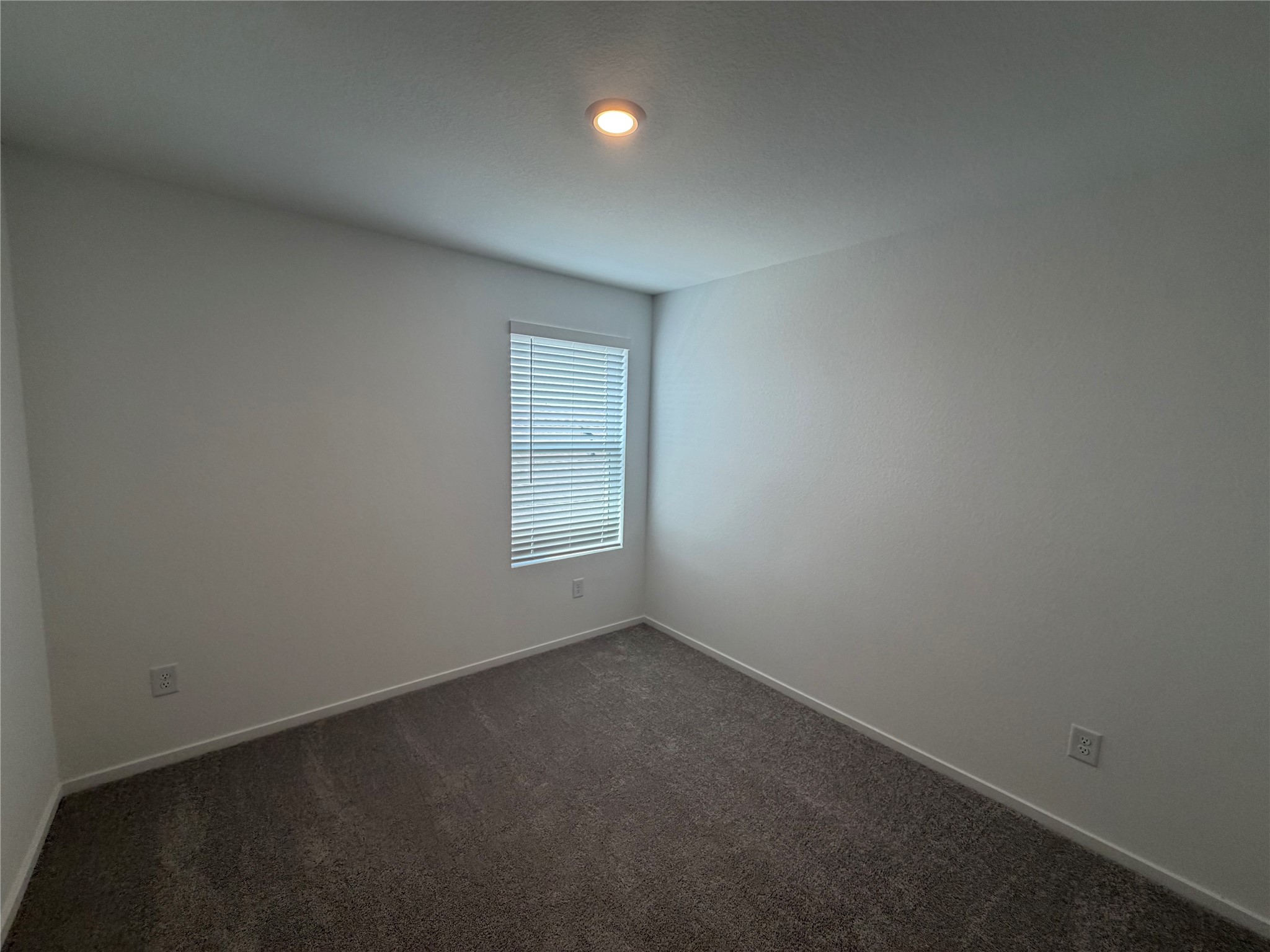 16815 Spotted Oak Drive Property Photo 32