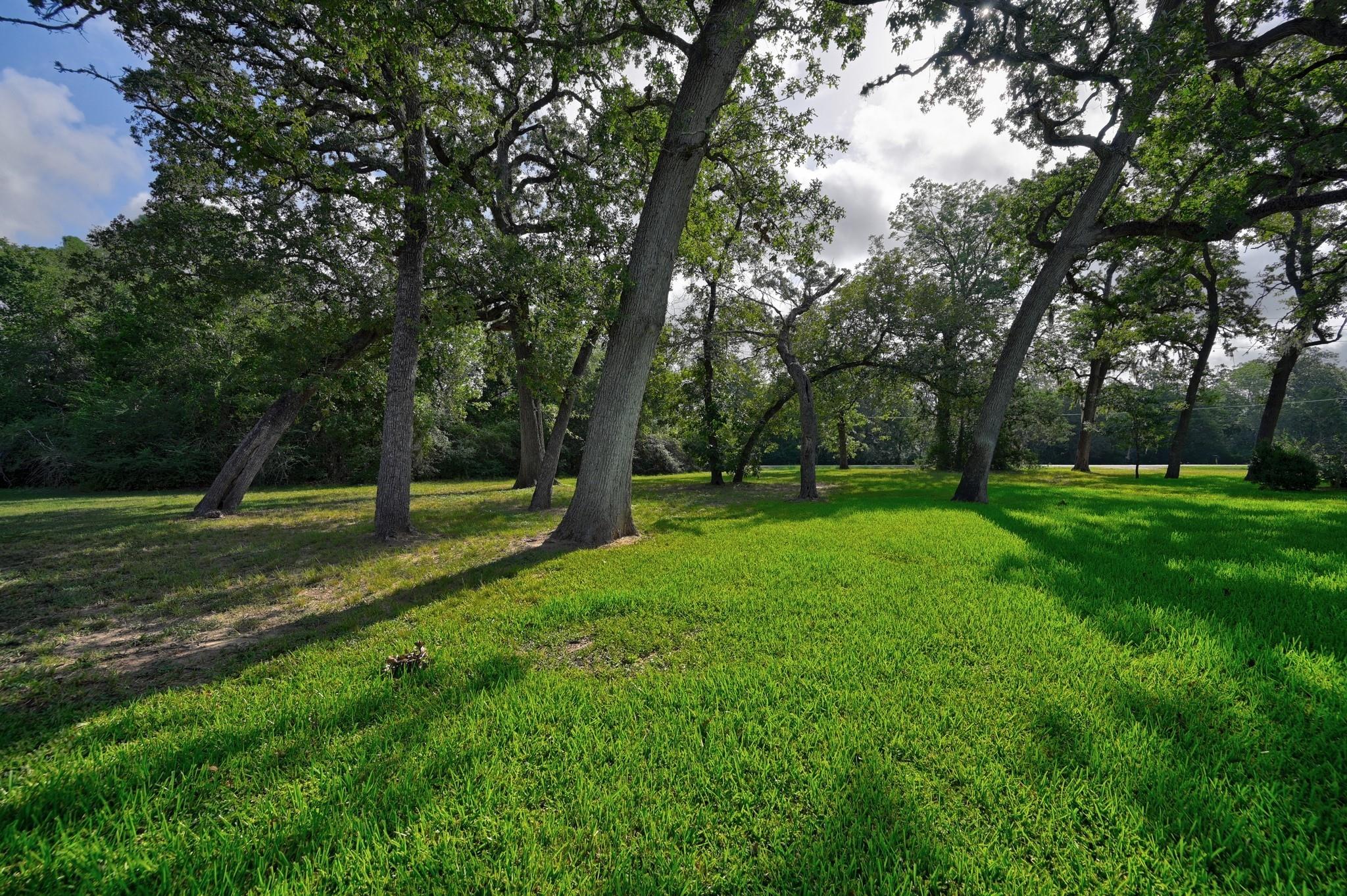 1689 Fm 1456 Road, Bellville Tx 77418 Property Photo 22