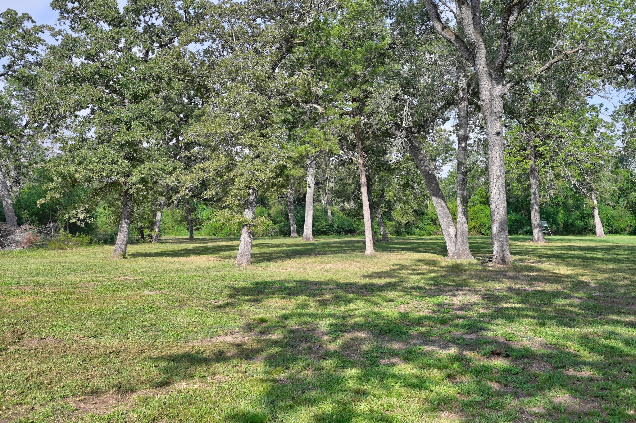 1689 Fm 1456 Road Property Photo 35