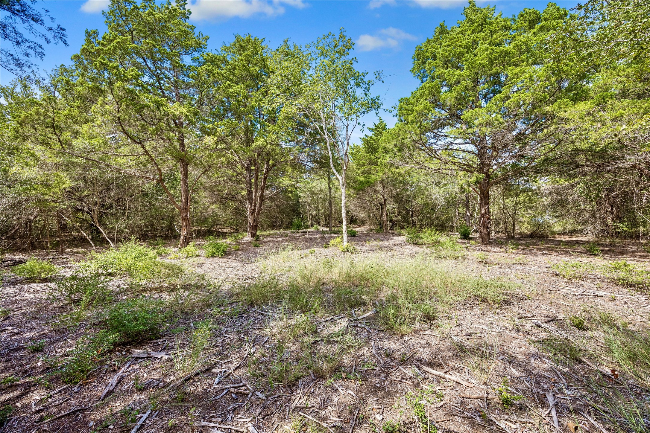 8494 Timber Cove Lane Property Photo 4