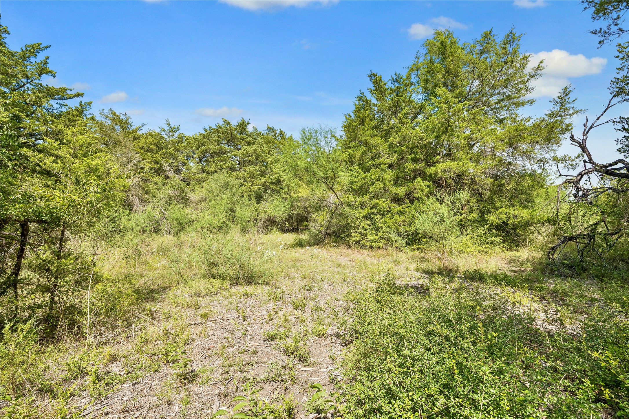 8494 Timber Cove Lane Property Photo 5