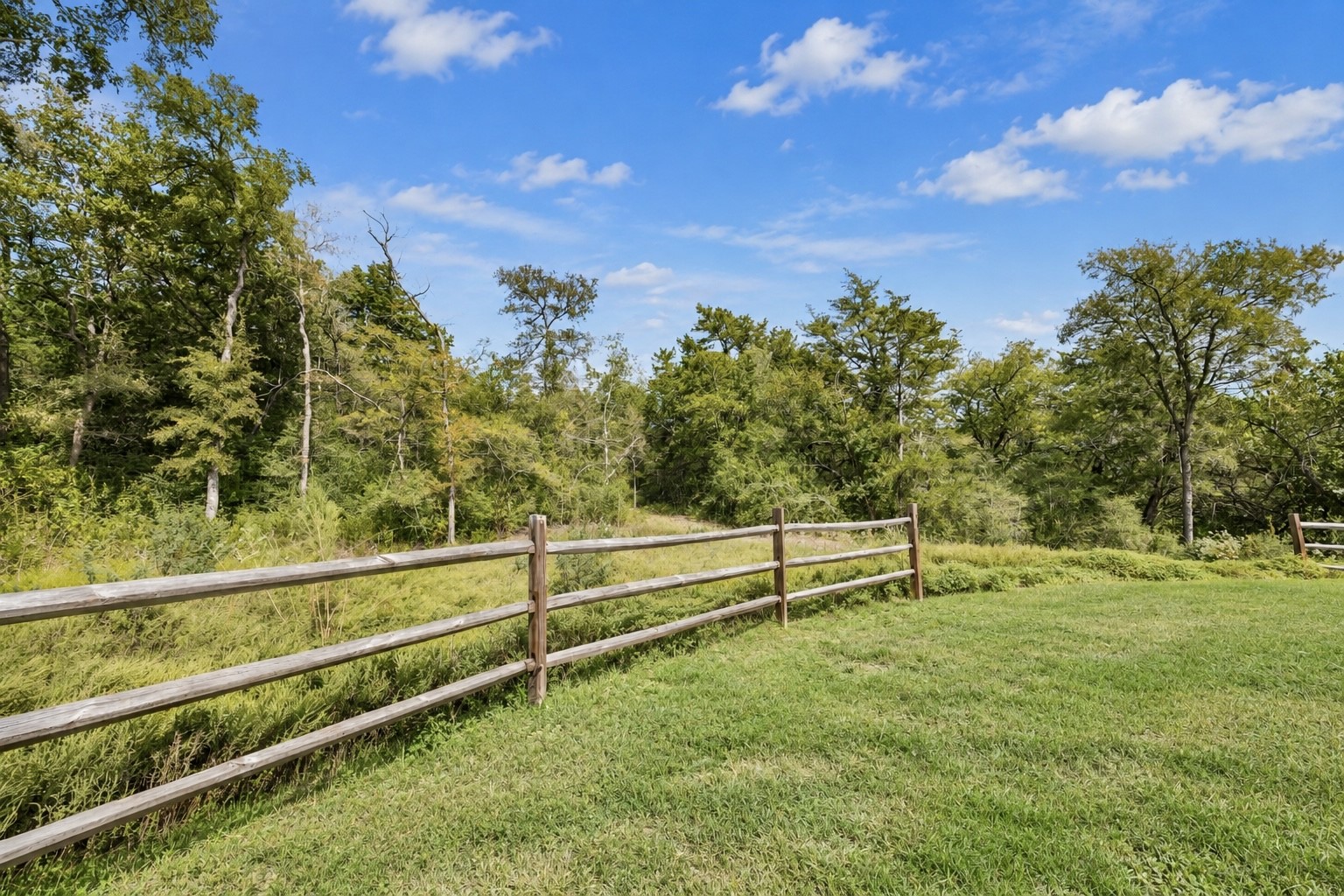 8494 Timber Cove Lane Property Photo 6