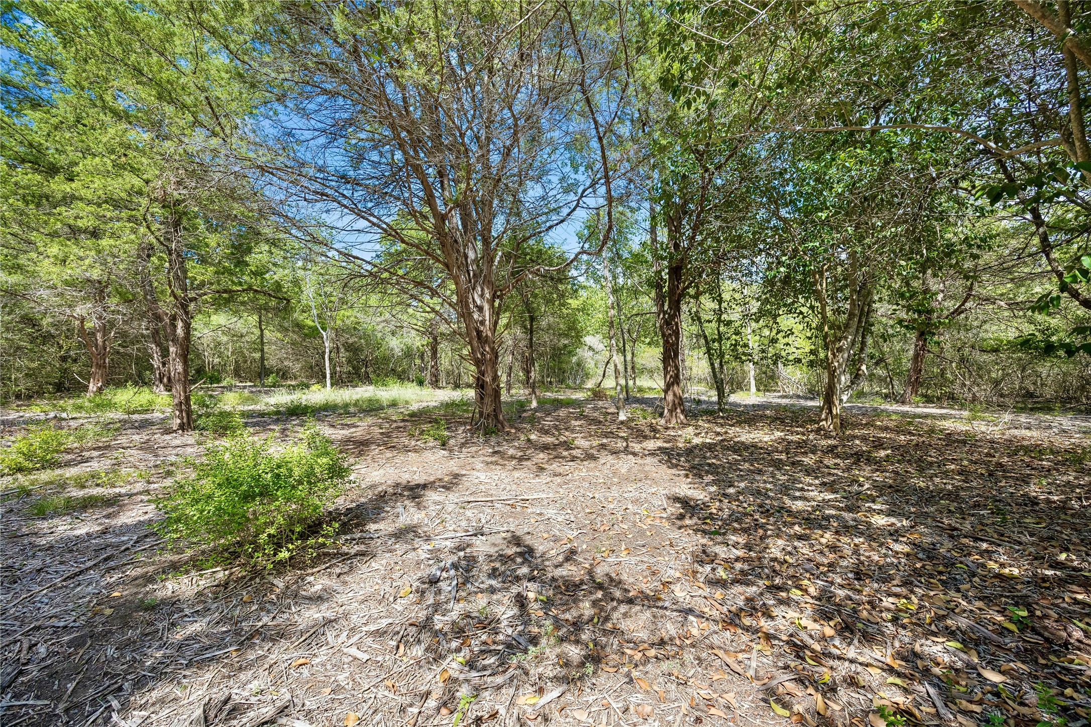 8494 Timber Cove Lane Property Photo 7