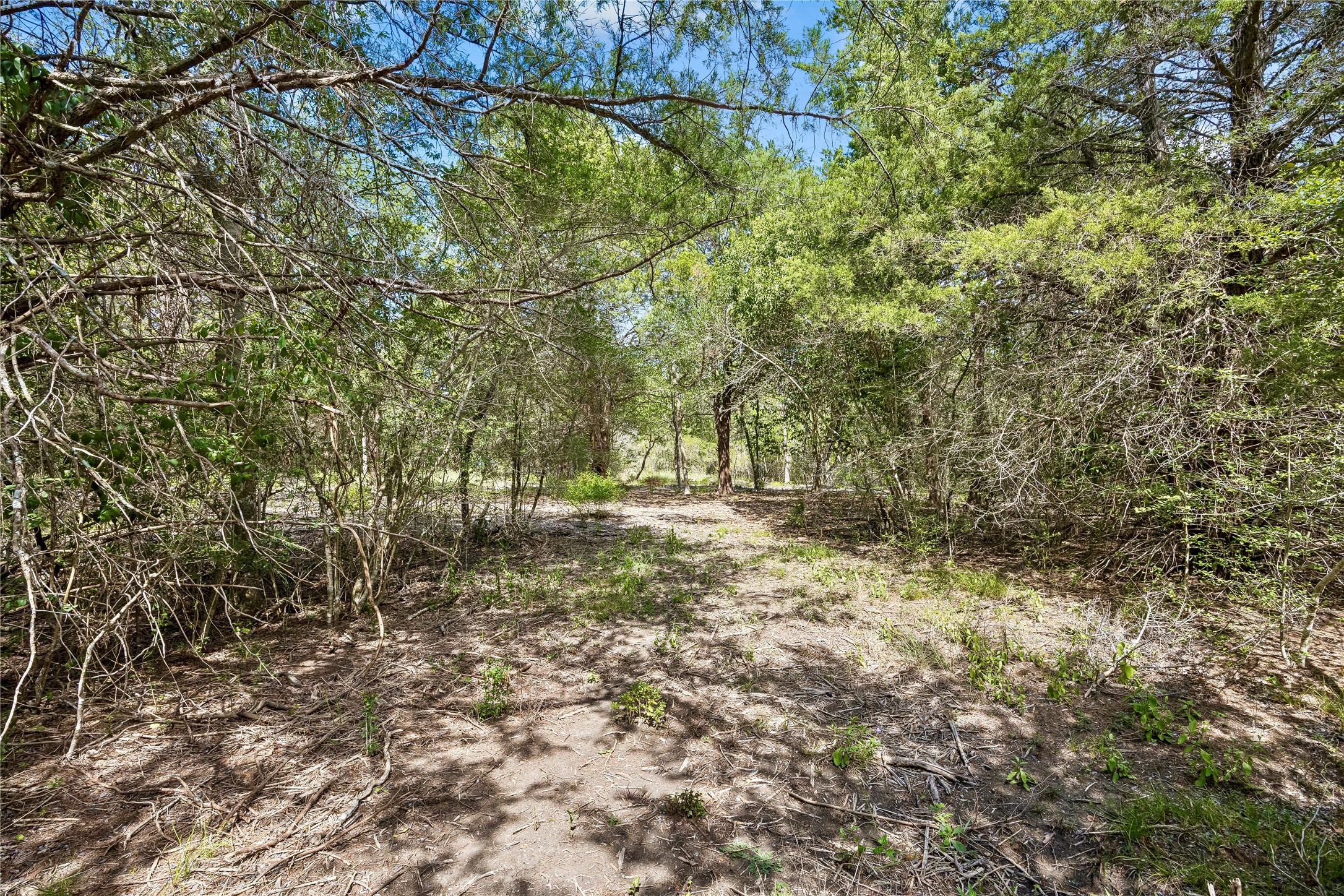 8494 Timber Cove Lane Property Photo 8