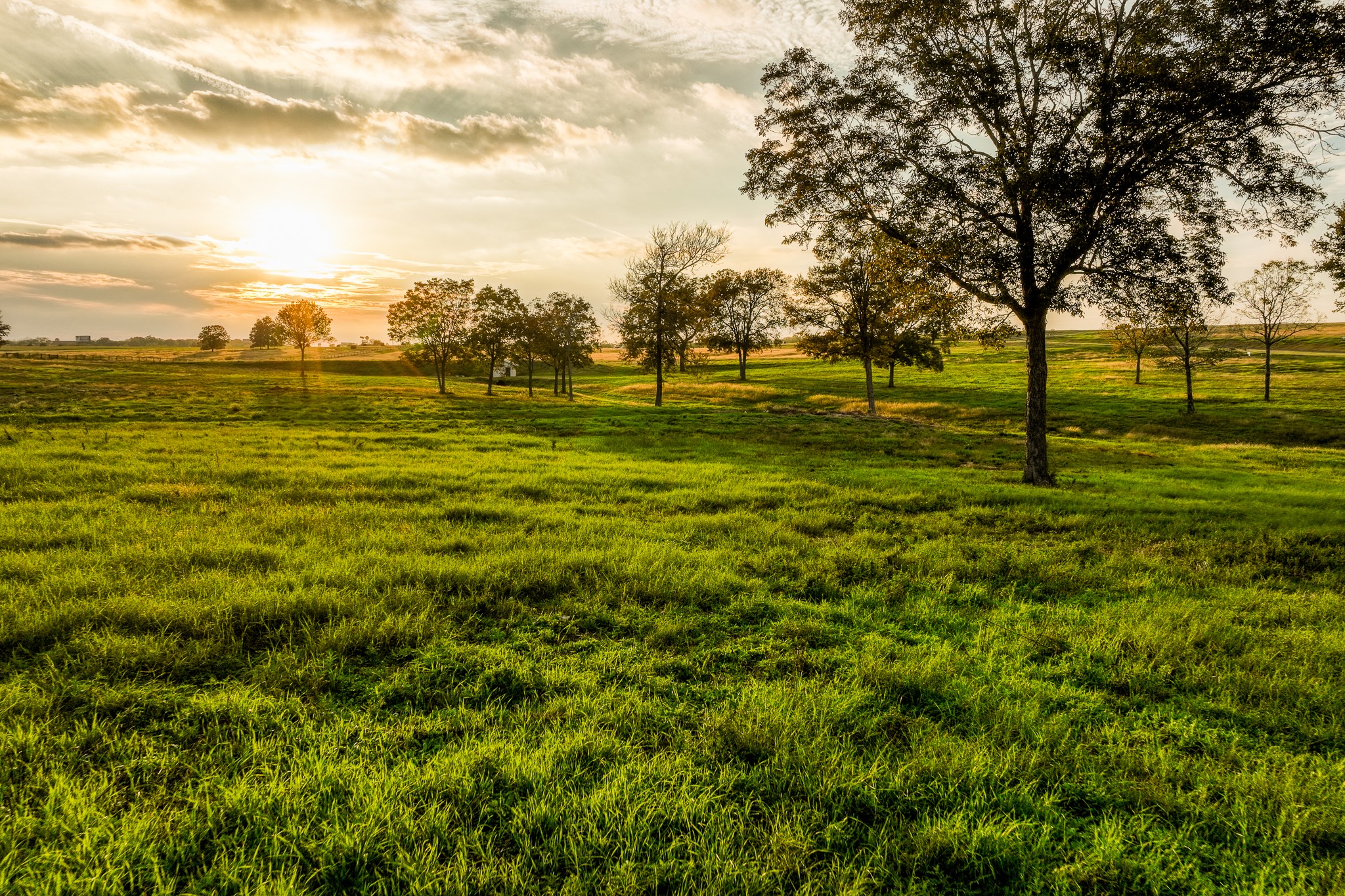 Tbd Sunny Meadow Lot 26 Drive Property Photo 3