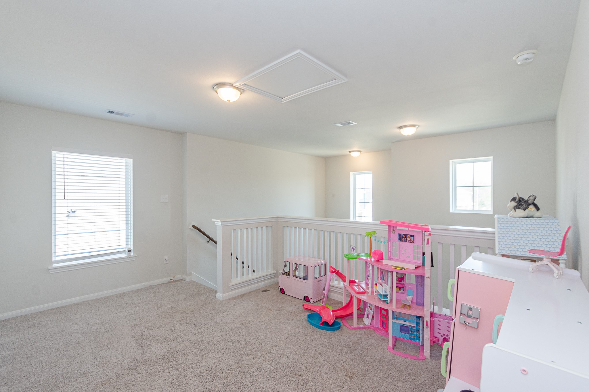 505 Prairie Grass Trail Property Photo 22