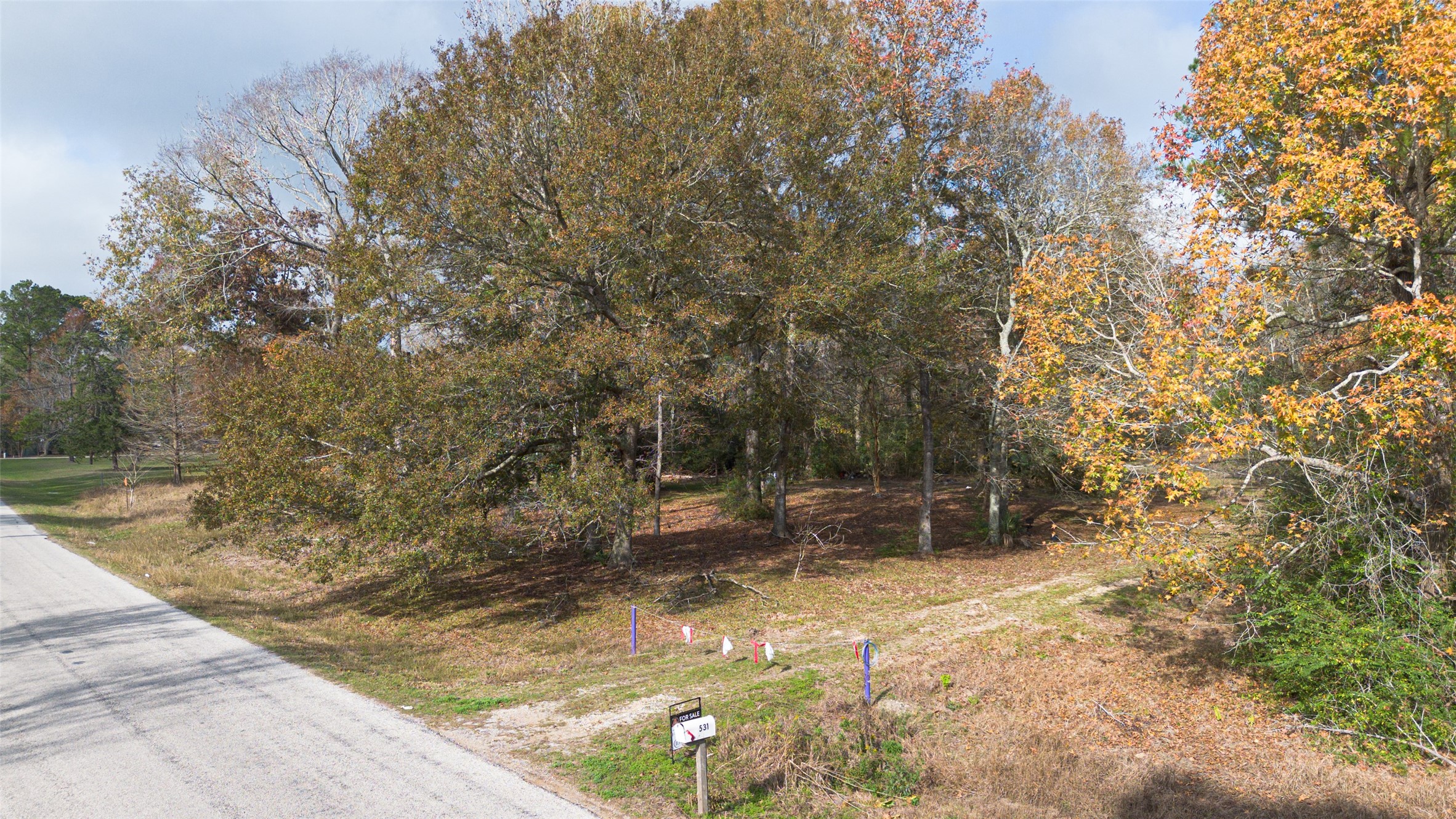 531 County Road 4882 S Property Photo 1