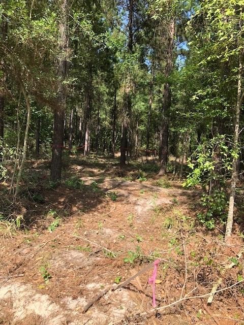 1777 Kickapoo Road Property Photo 2
