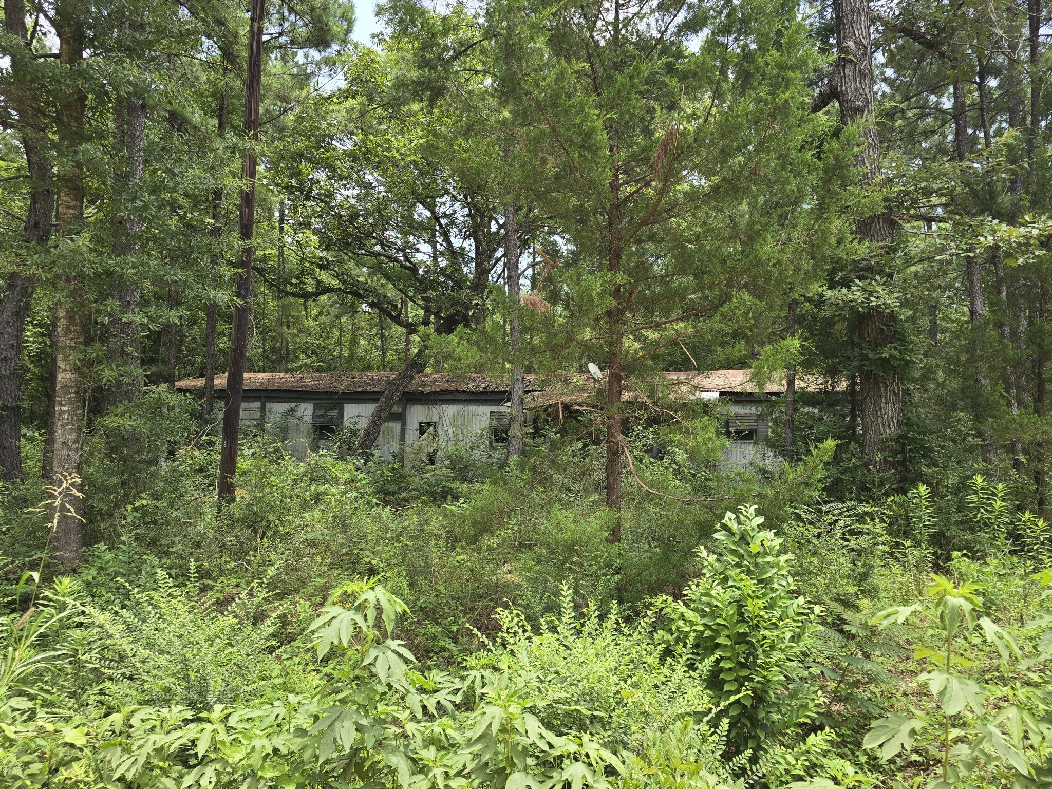 261 Patricia Drive Property Photo 1