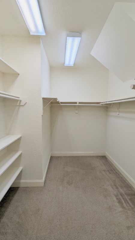20909 Springport Court Property Photo 18