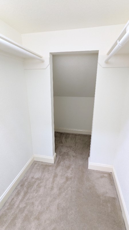 20909 Springport Court Property Photo 19