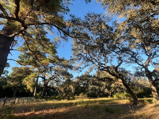 1311-B Alleyton Road