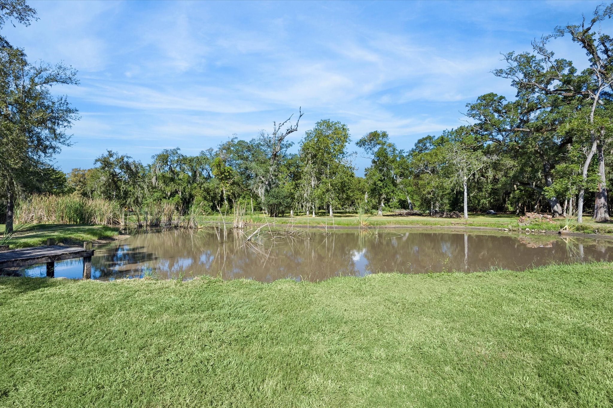 17502 Hamill Drive Property Photo 6