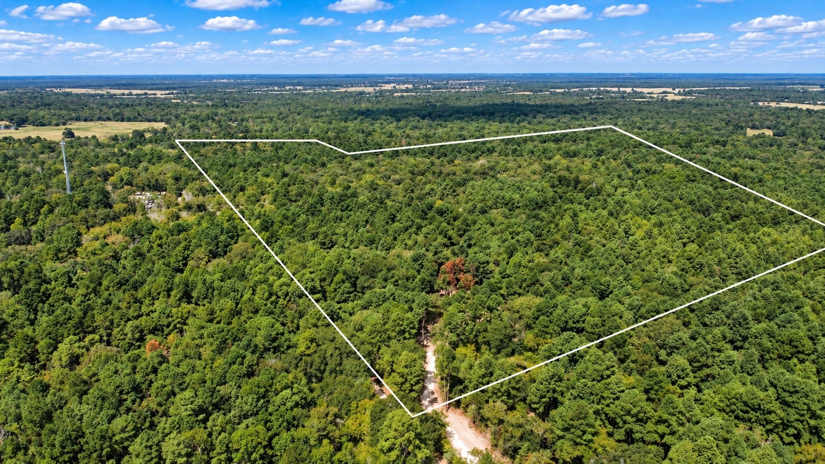 66 AC Tanyard Church Lane