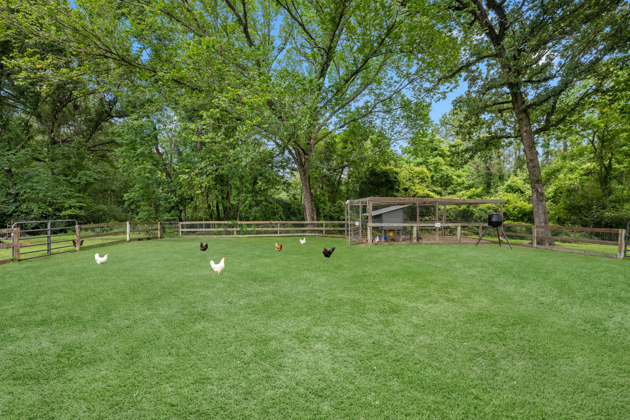 31114 Dobbin Huffsmith Road Property Photo 12