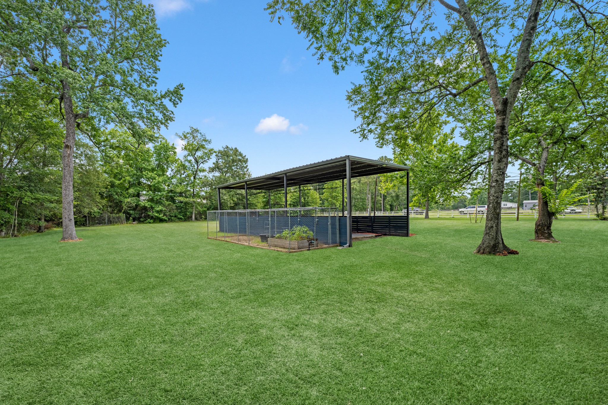 31114 Dobbin Huffsmith Road Property Photo 15