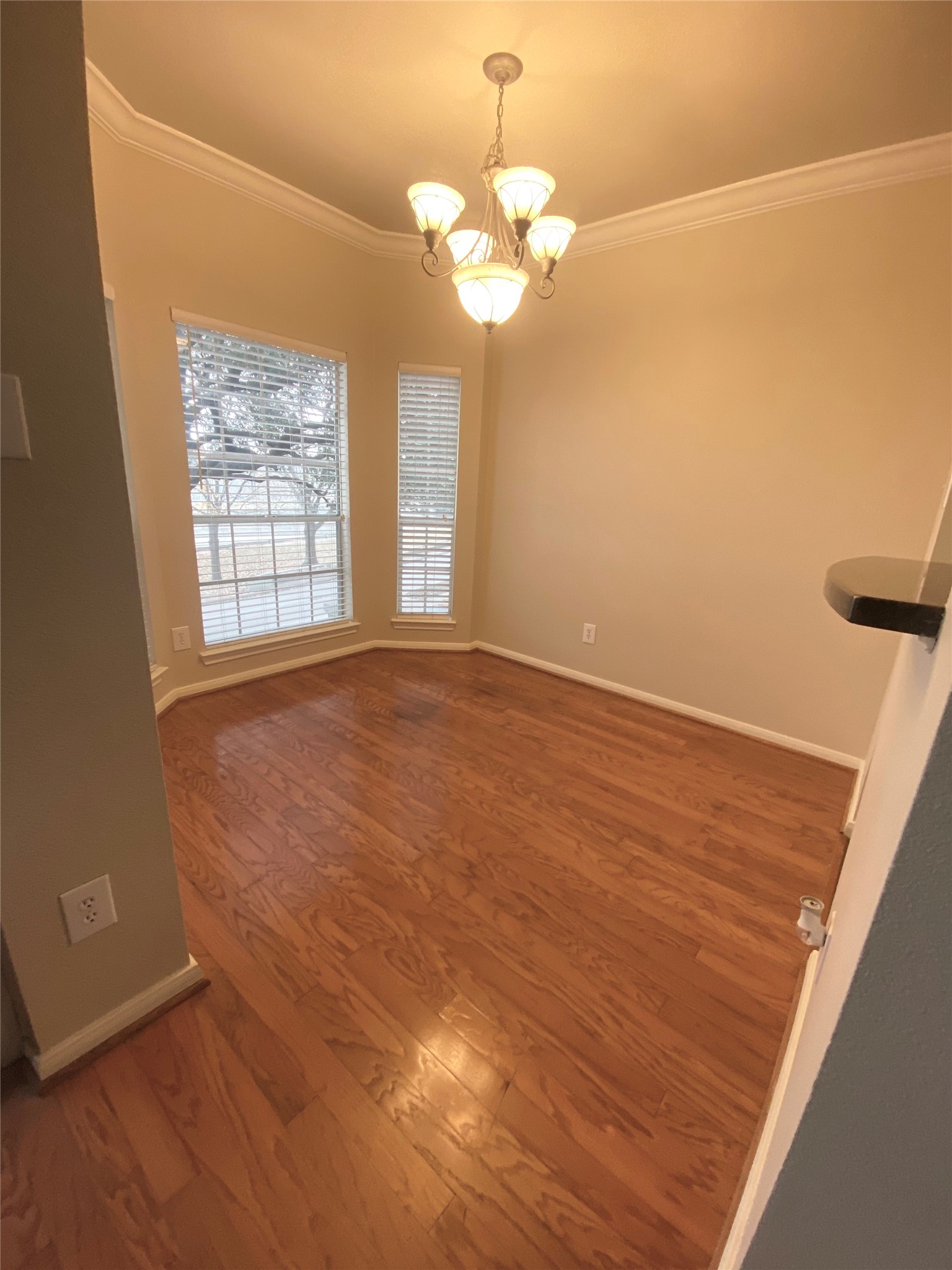 3231 Allen Parkway 1205 Property Photo 5