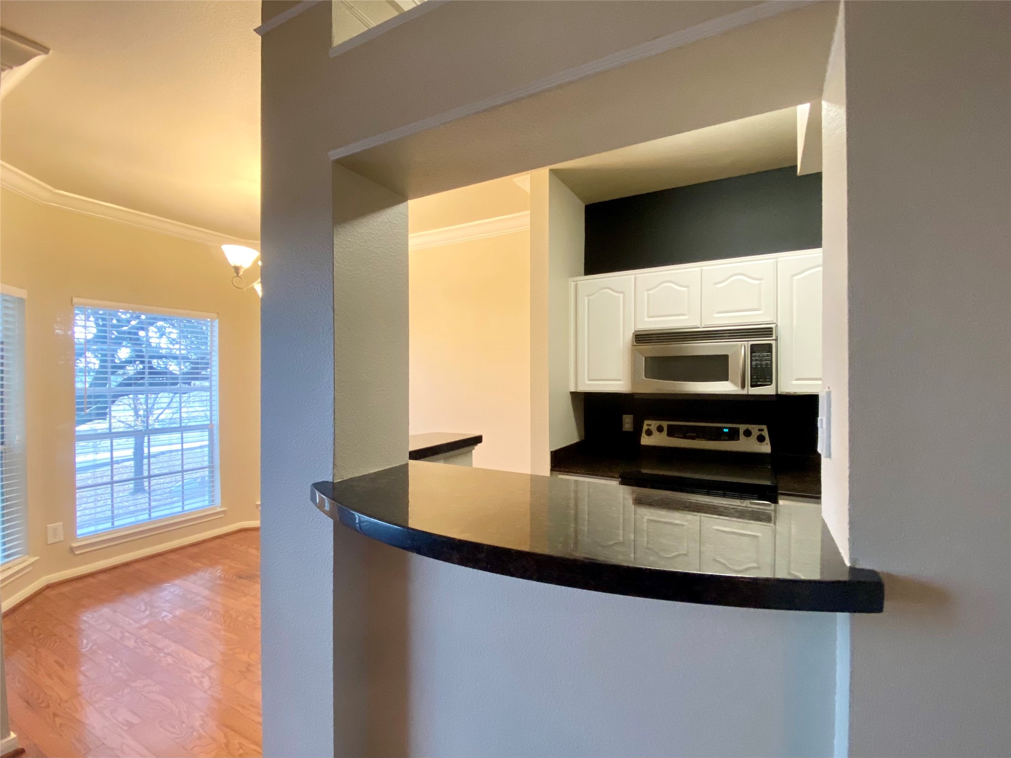 3231 Allen Parkway 1205 Property Photo 6