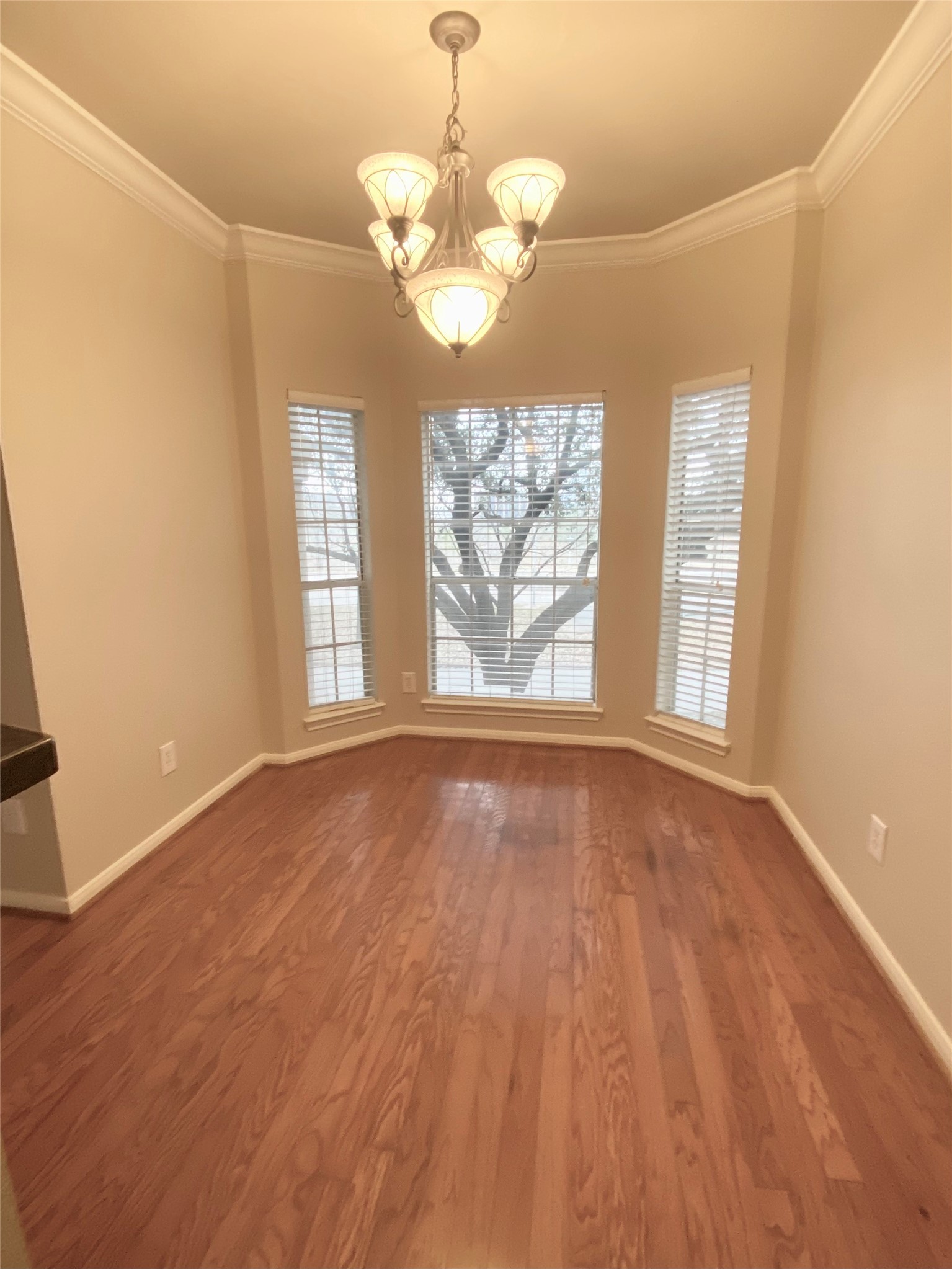 3231 Allen Parkway 1205 Property Photo 8