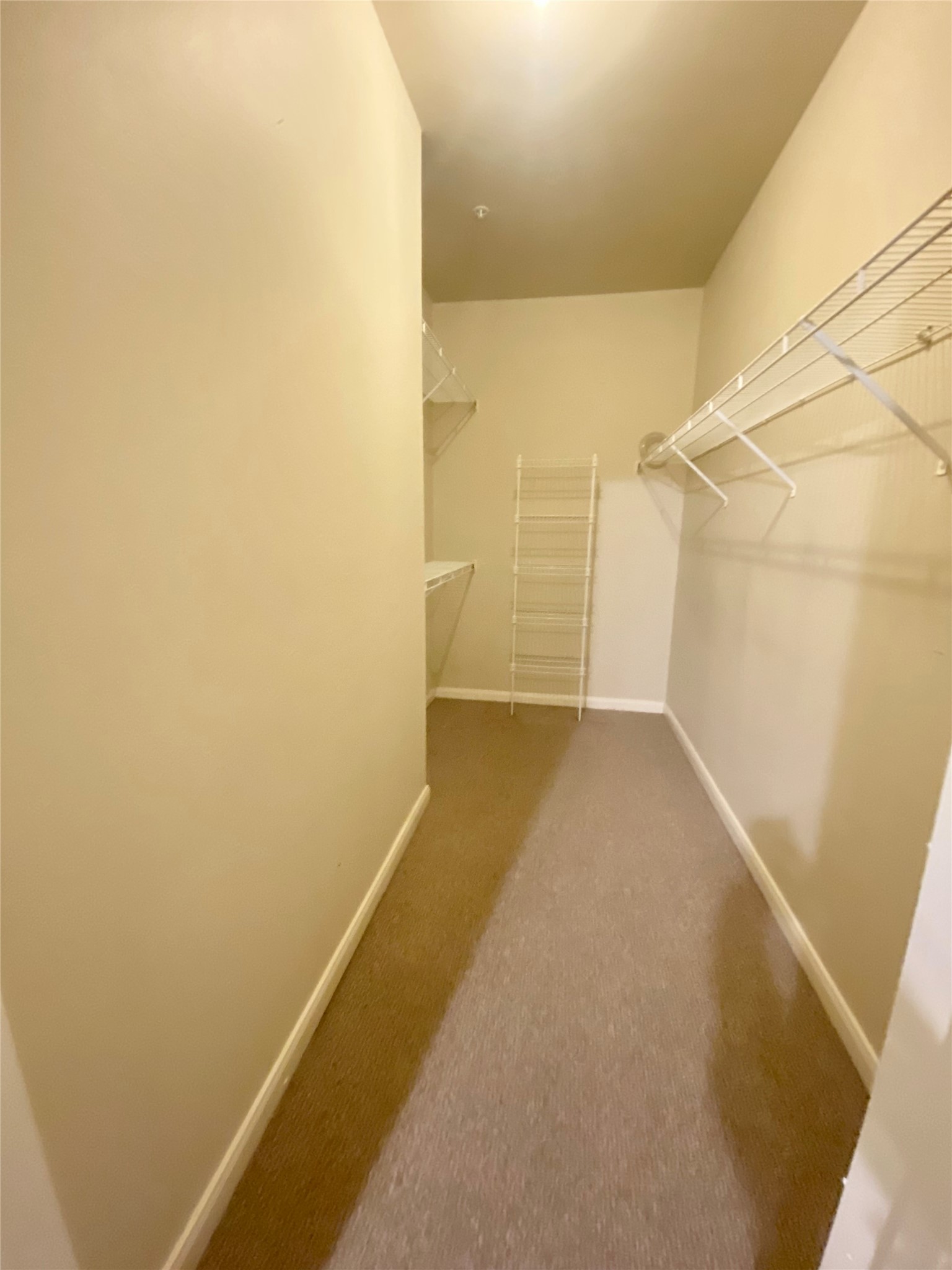 3231 Allen Parkway 1205 Property Photo 10