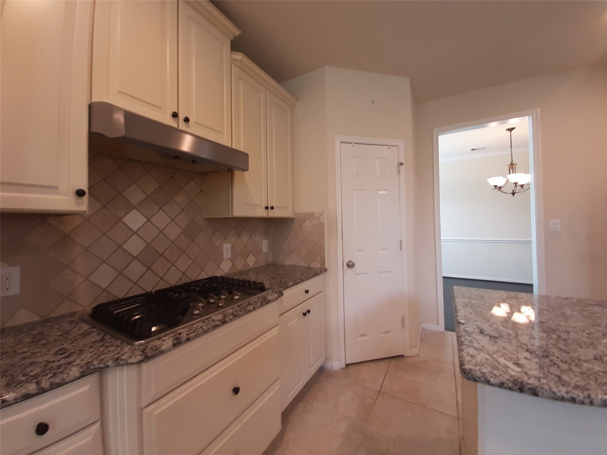 6002 Mangrove Falls Court Property Photo 11