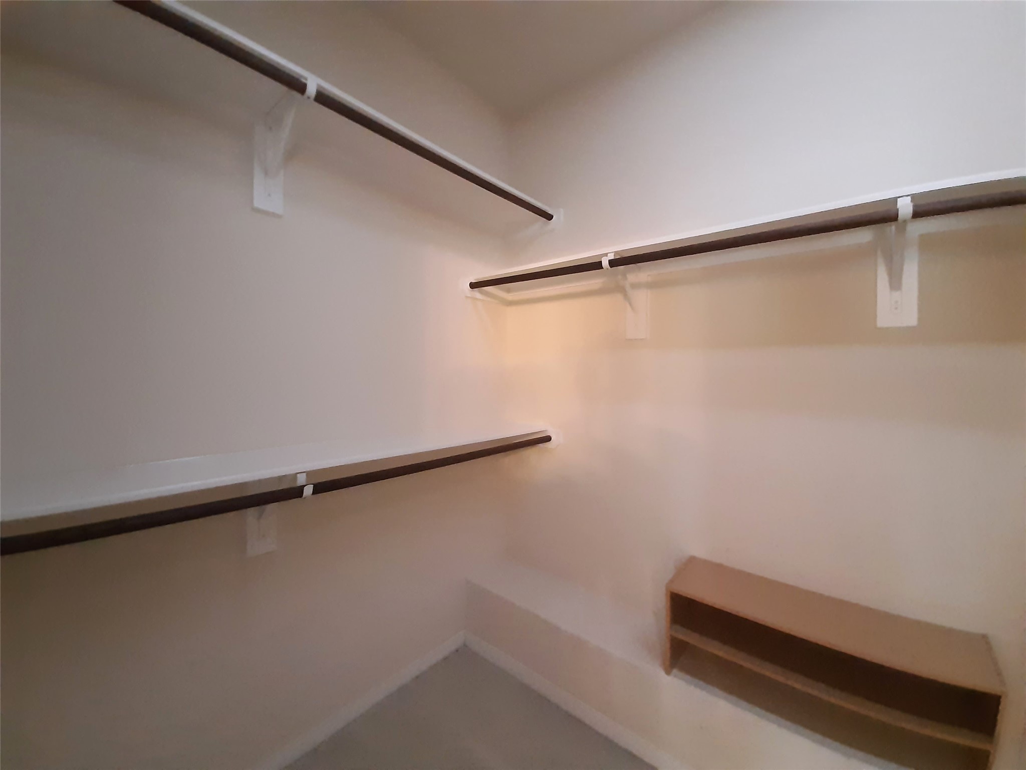 6002 Mangrove Falls Court Property Photo 15