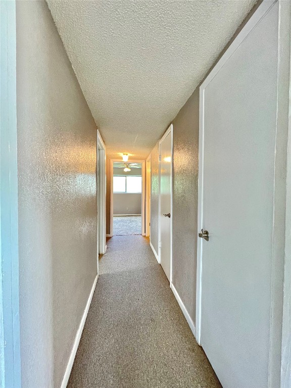 509 Dwyer Street Property Photo 17