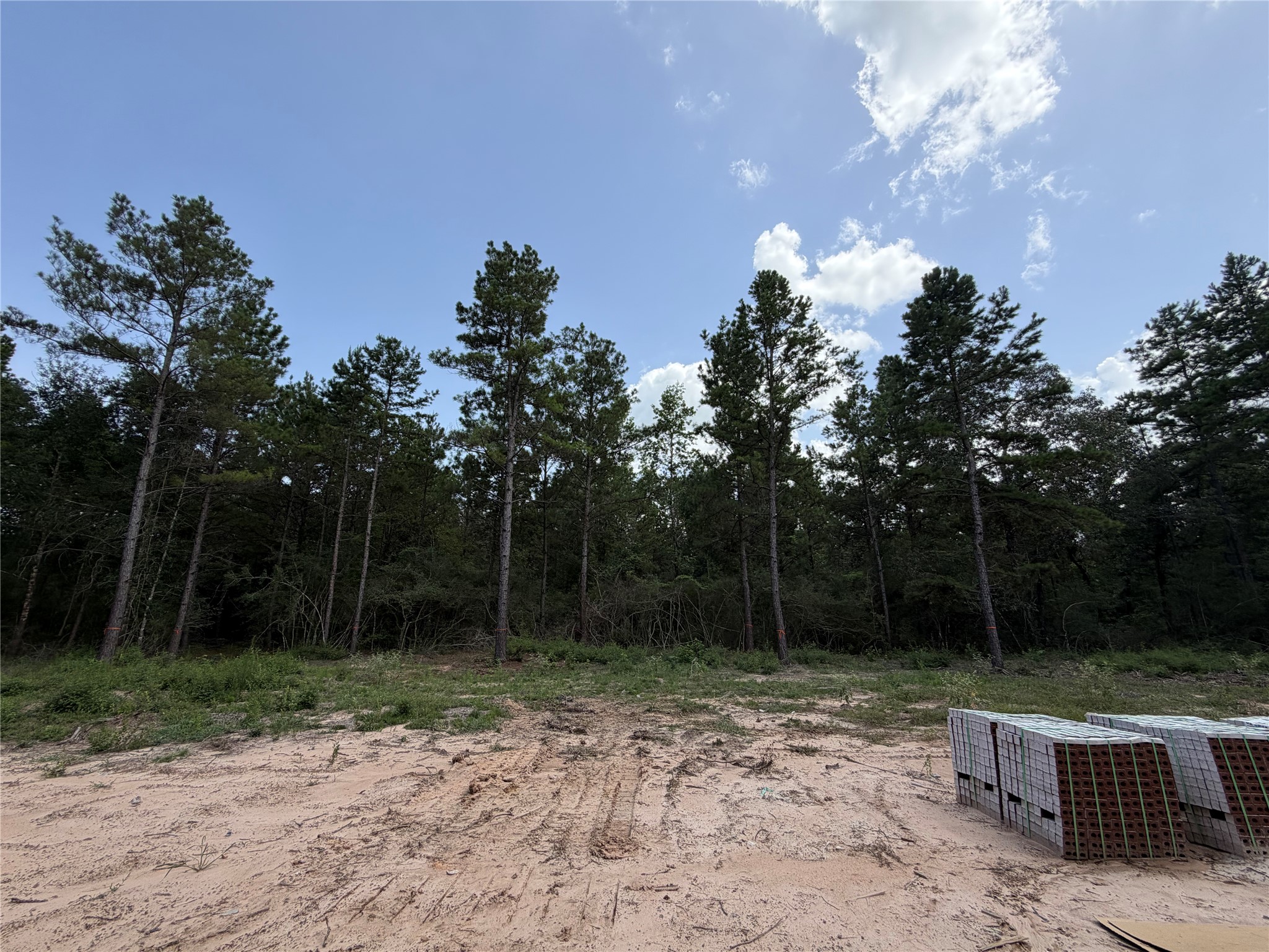 25077 Seguin Trail Property Photo 11