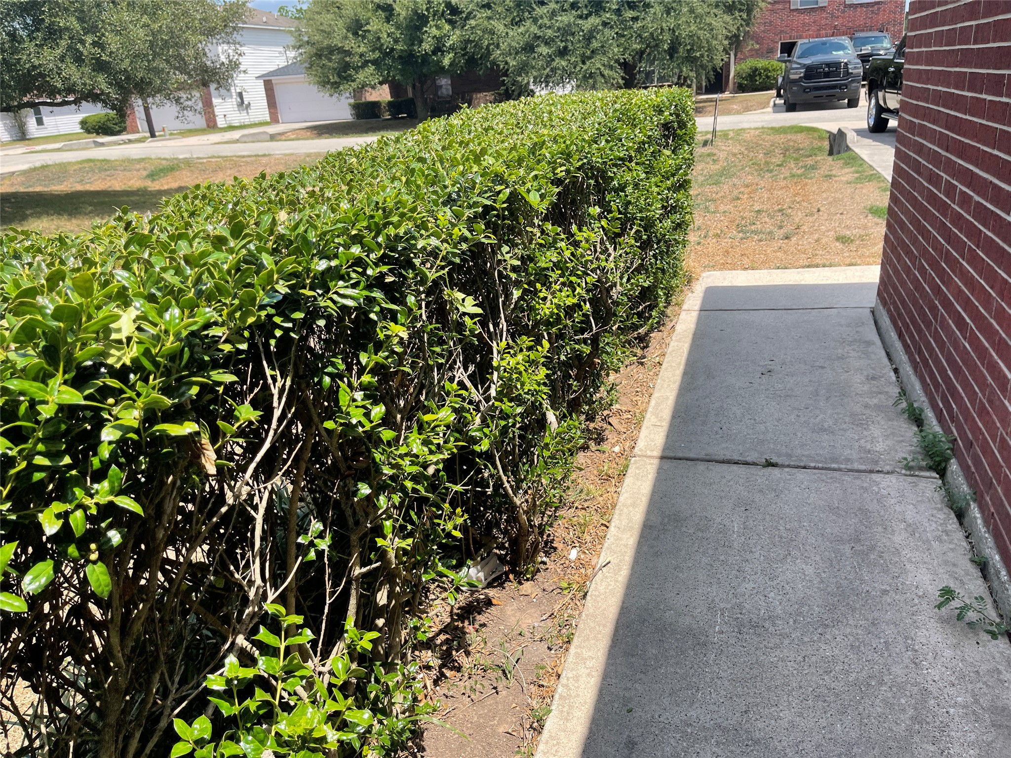 16216 Setting Sun Court Property Photo 17