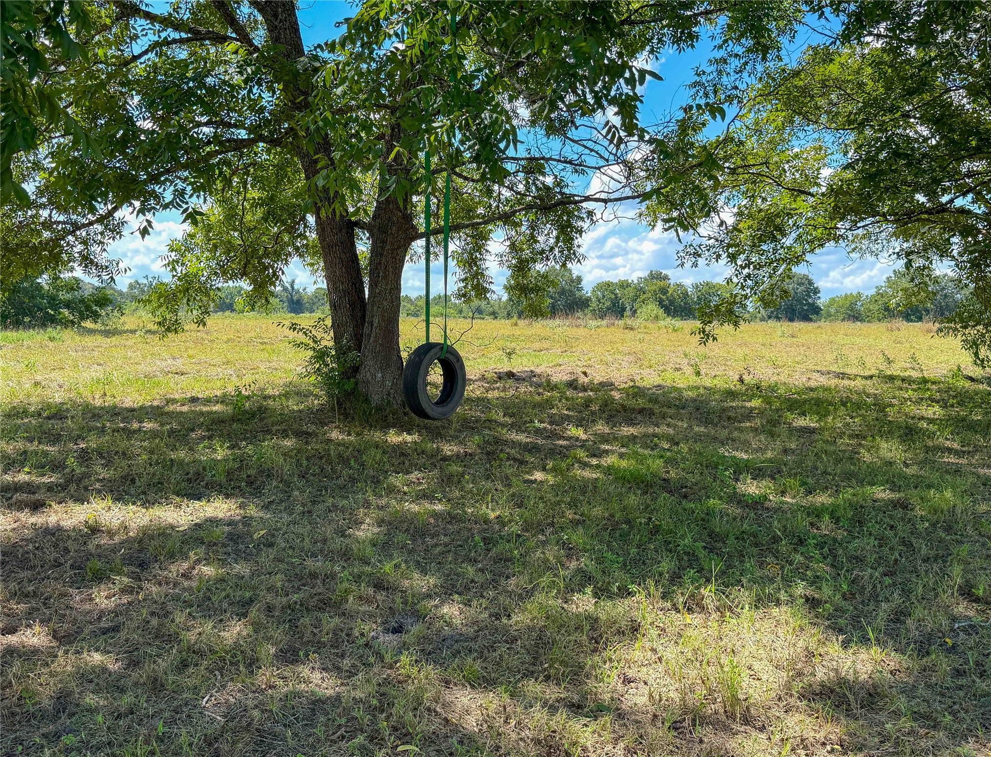 2067 County Road 3620 Property Photo 3