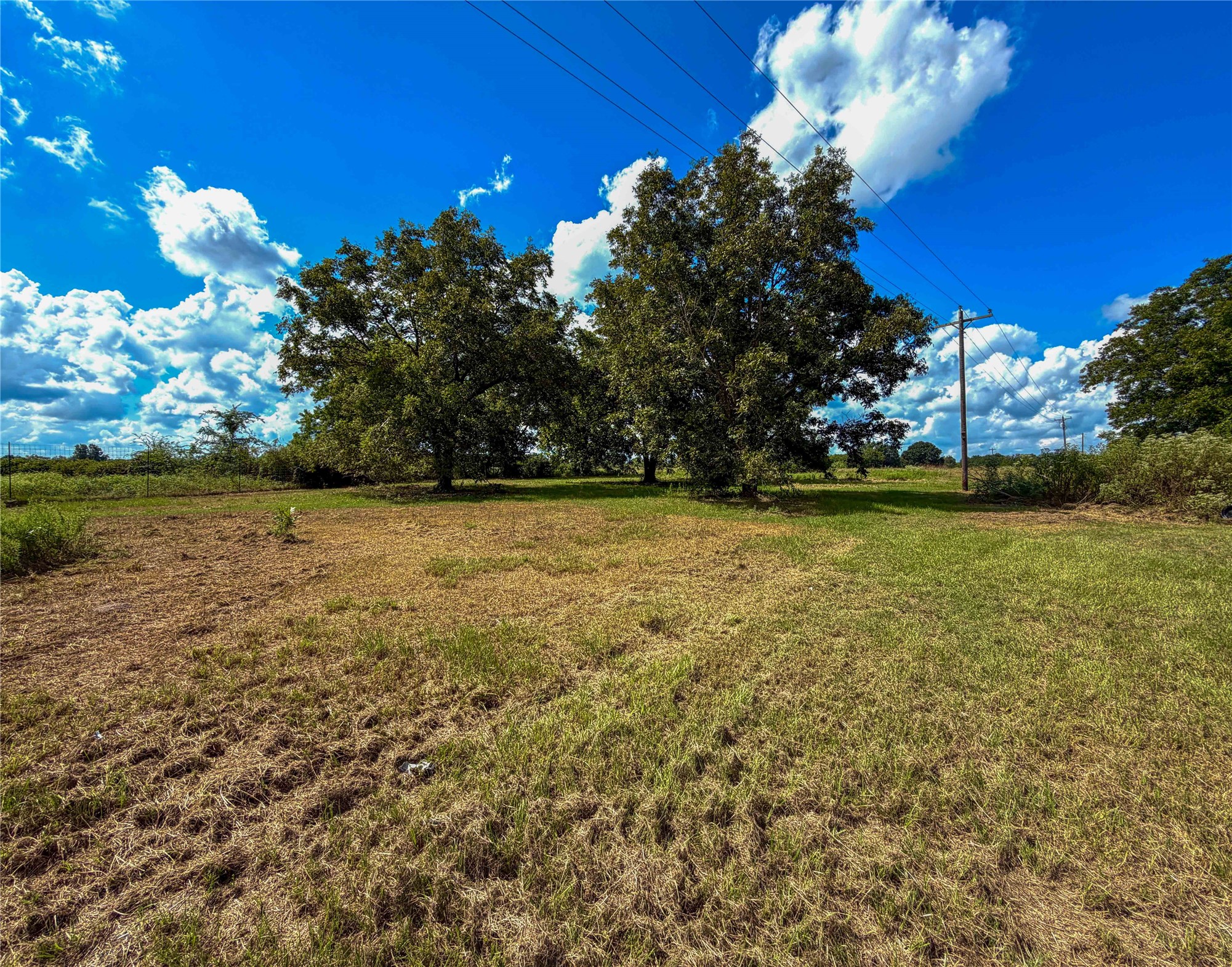 2067 County Road 3620 Property Photo 13