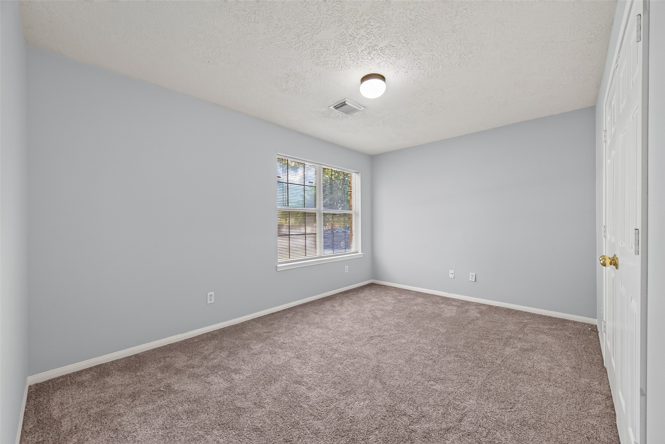 3218 Spring Flower Lane Property Photo 16