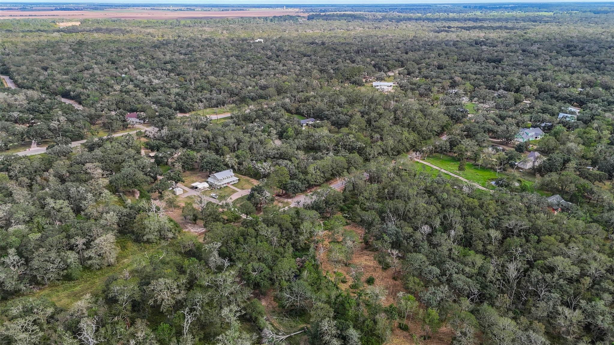 0 Live Oak St, Damon TX 77430 Property Photo 1