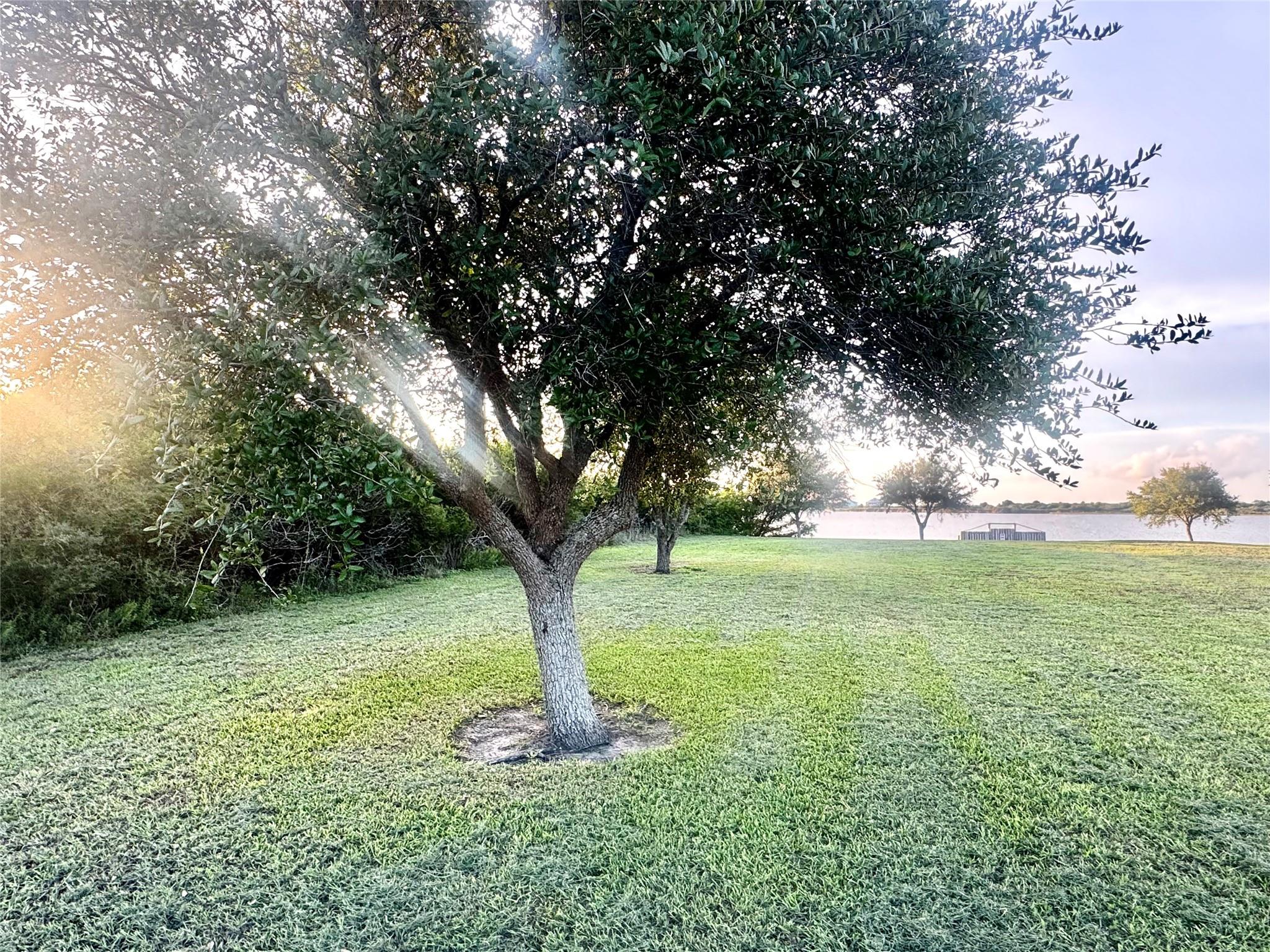 0 Speckled Trout Loop Property Photo 2