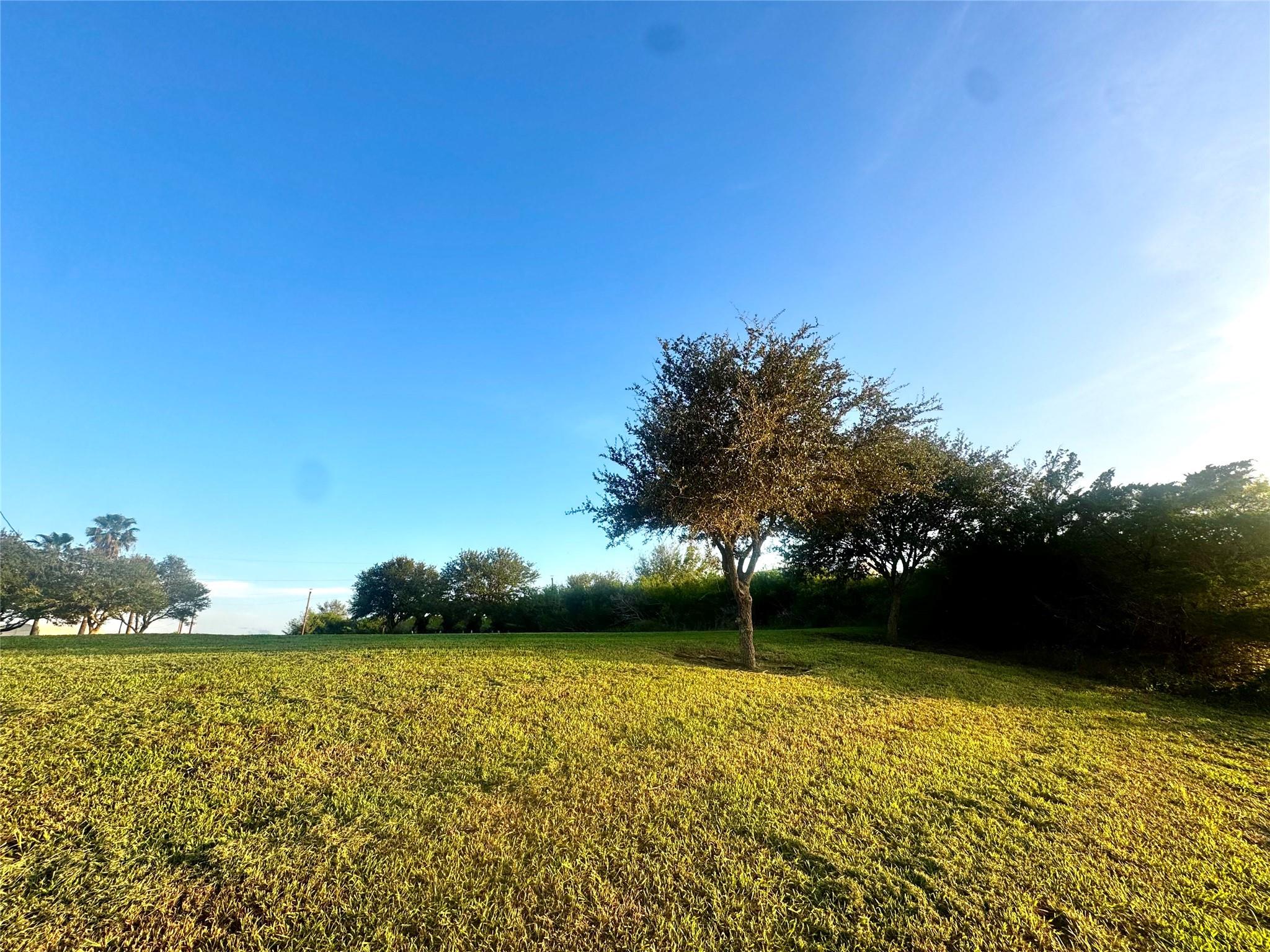 0 Speckled Trout Loop Property Photo 19