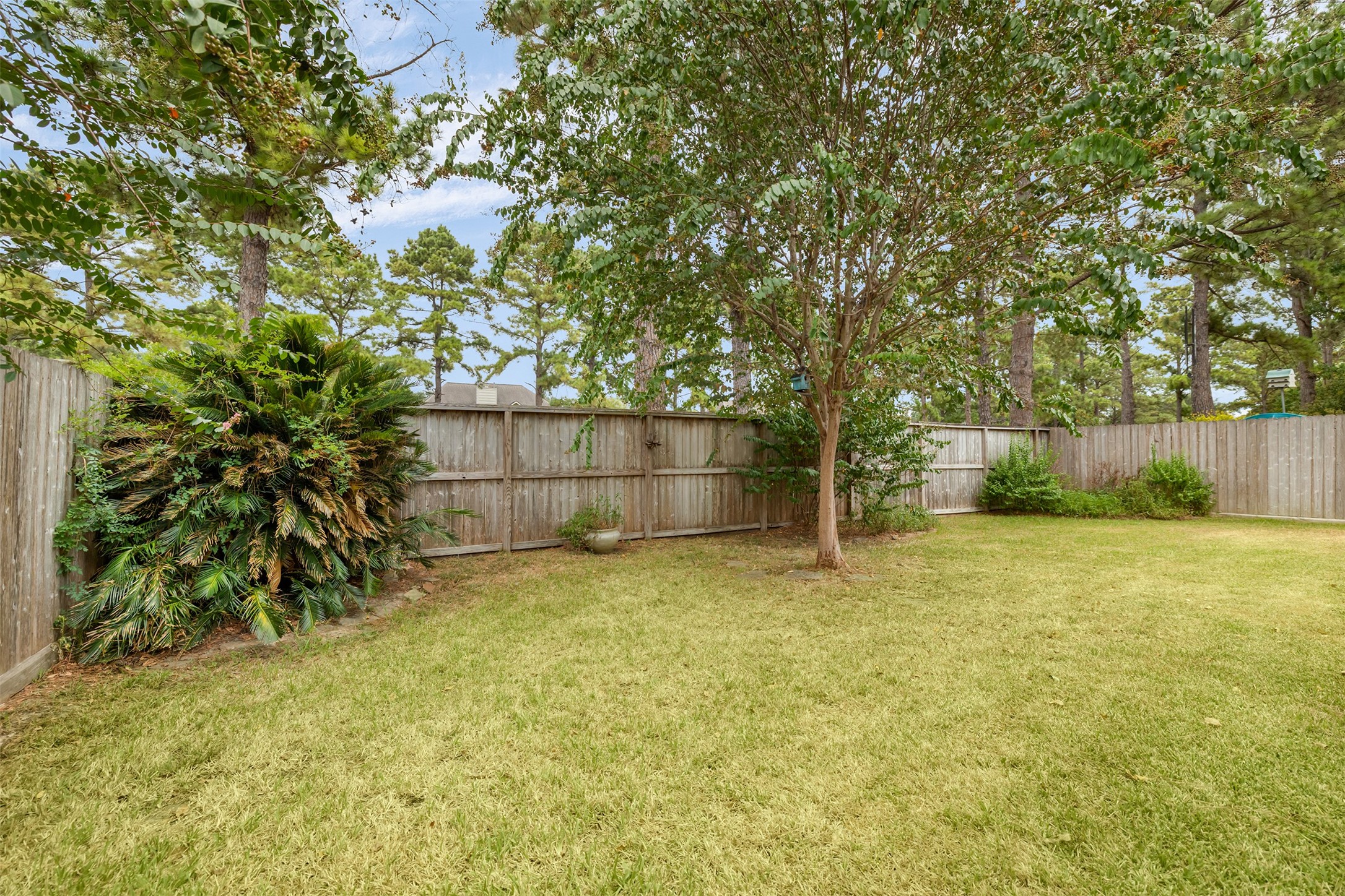 16334 Chimneystone Drive Property Photo 2