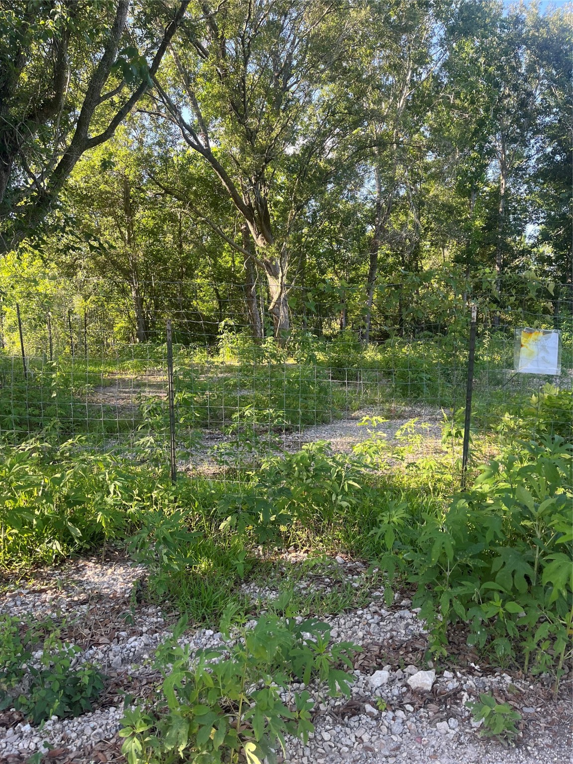 6125 Masters Road Property Photo 8